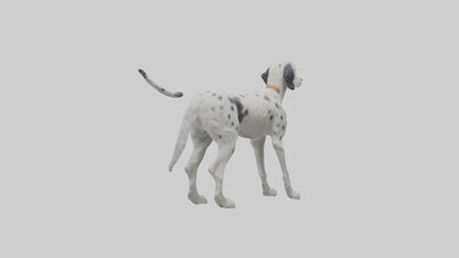 3D model English Setter hunting model VR / AR / low-poly