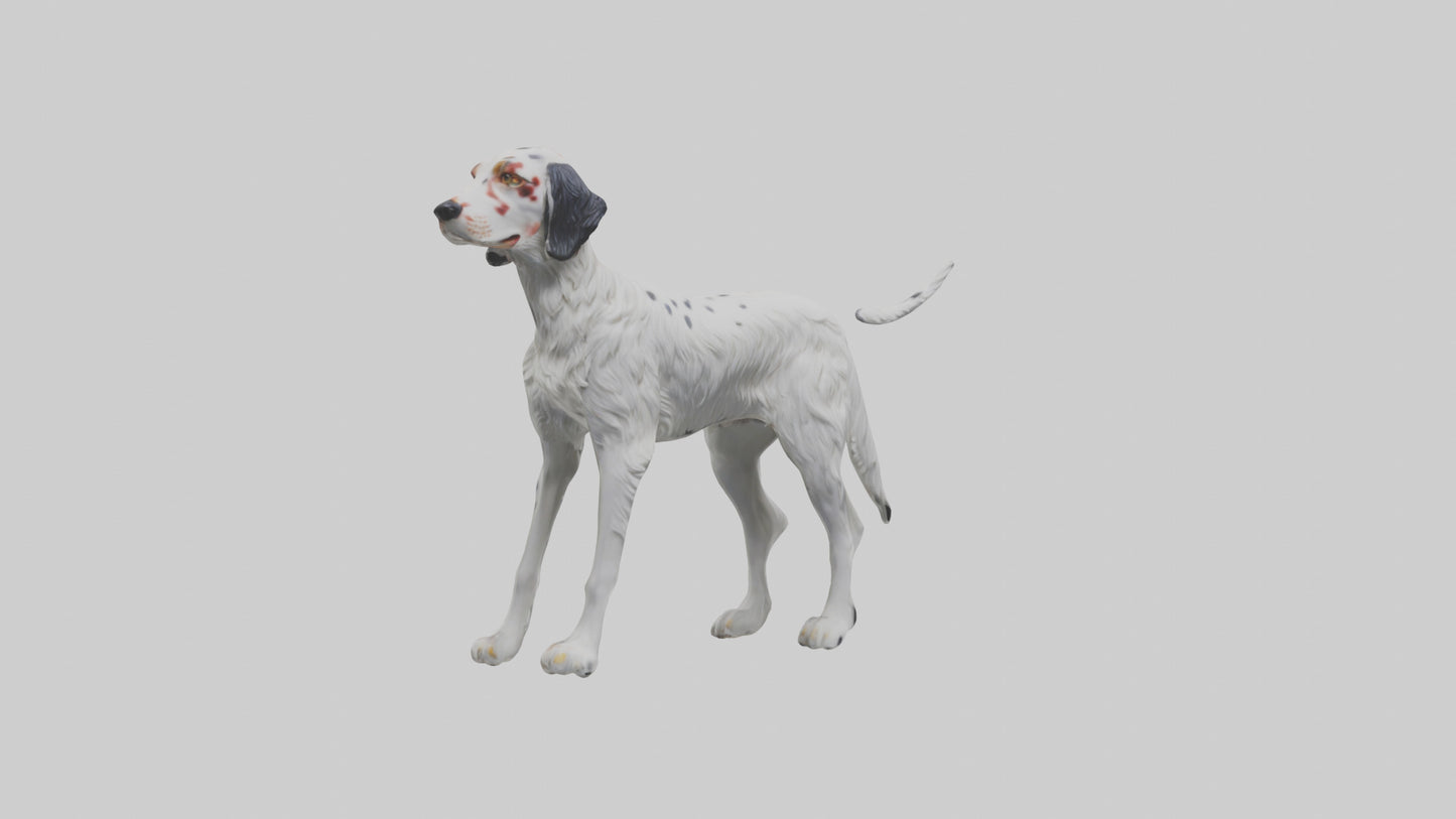 3D model English Setter hunting model VR / AR / low-poly
