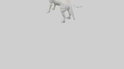 3D model English Setter hunting model VR / AR / low-poly