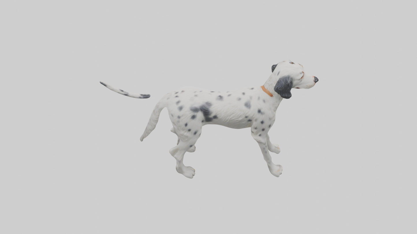 3D model English Setter hunting model VR / AR / low-poly