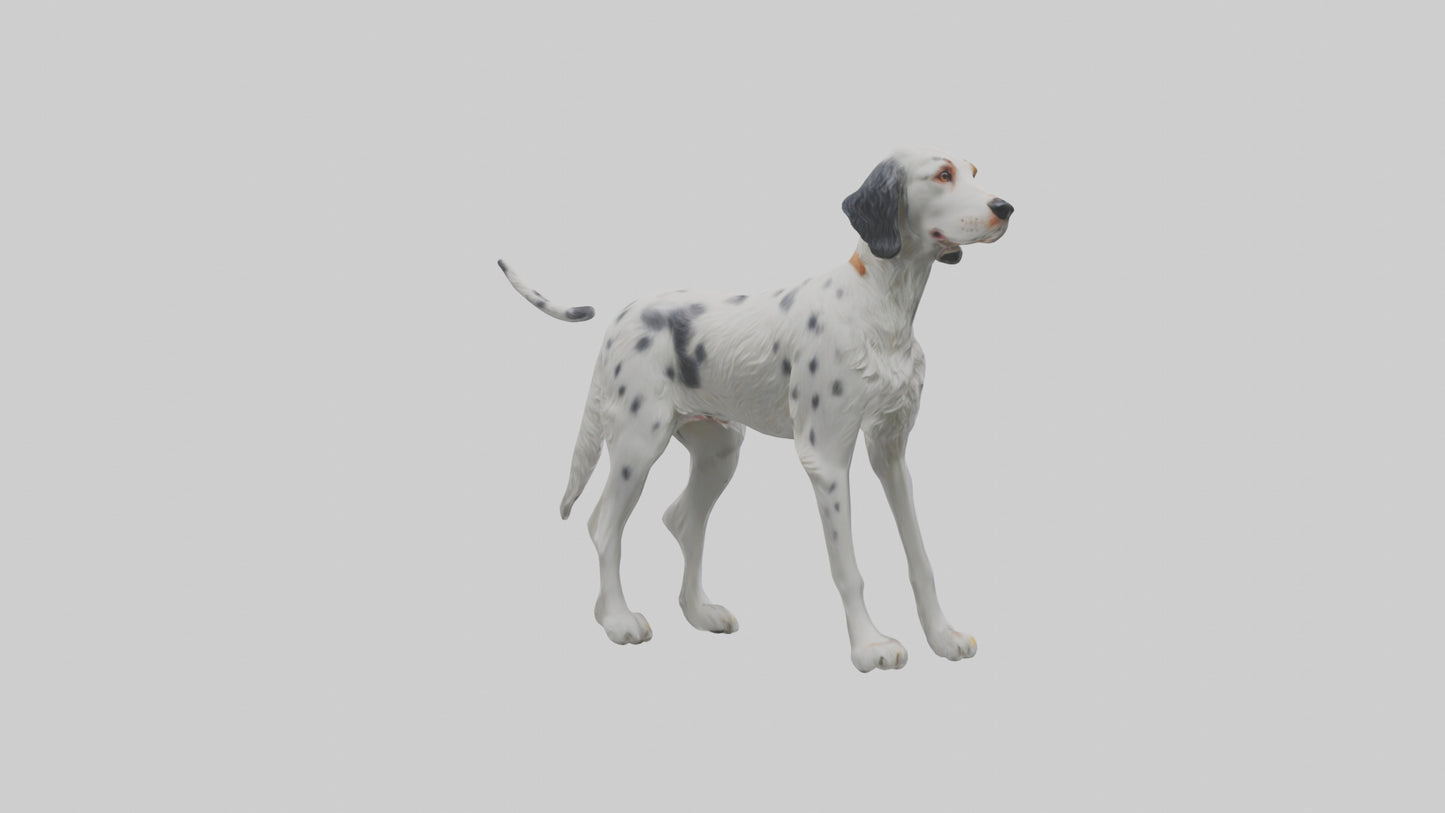 3D model English Setter hunting model VR / AR / low-poly