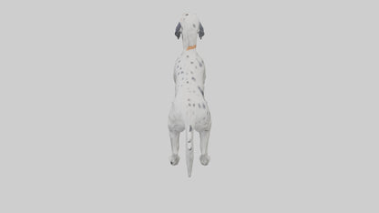 3D model English Setter hunting model VR / AR / low-poly