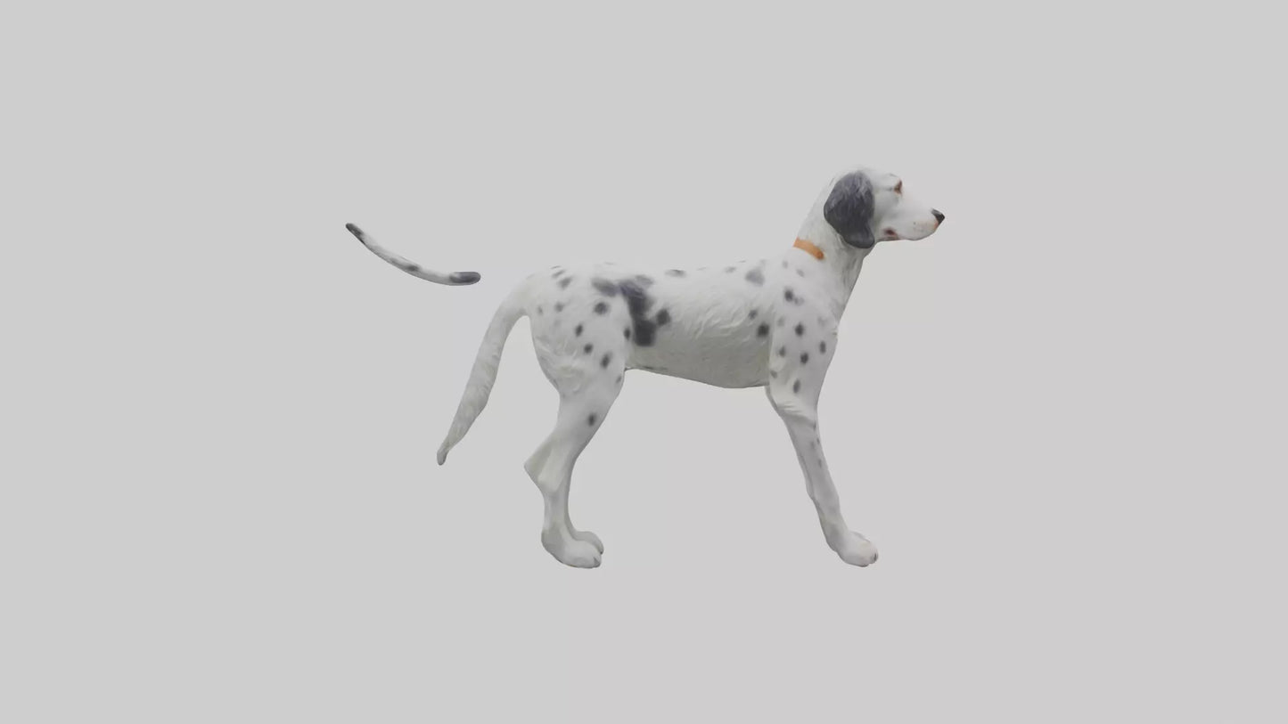 3D model English Setter hunting model VR / AR / low-poly