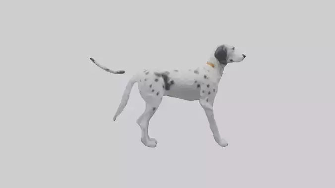 3D model English Setter hunting model VR / AR / low-poly