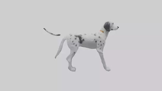 3D model English Setter hunting model VR / AR / low-poly