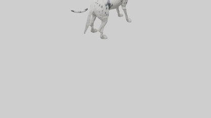 3D model English Setter hunting model VR / AR / low-poly