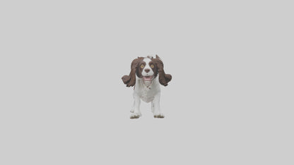 3D model English Springer Spaniel playing model VR / AR / low-poly