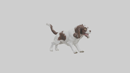3D model English Springer Spaniel playing model VR / AR / low-poly