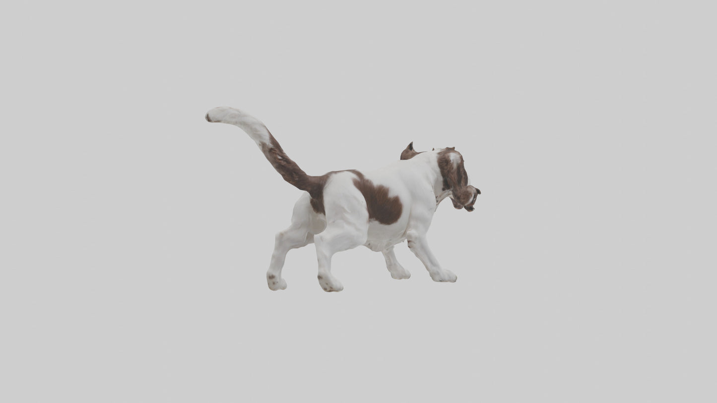 3D model English Springer Spaniel playing model VR / AR / low-poly