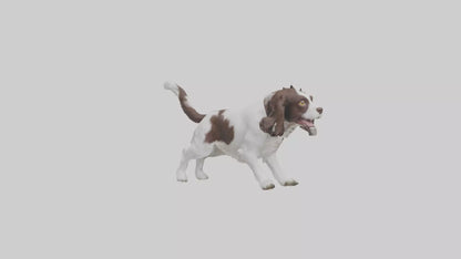 3D model English Springer Spaniel playing model VR / AR / low-poly