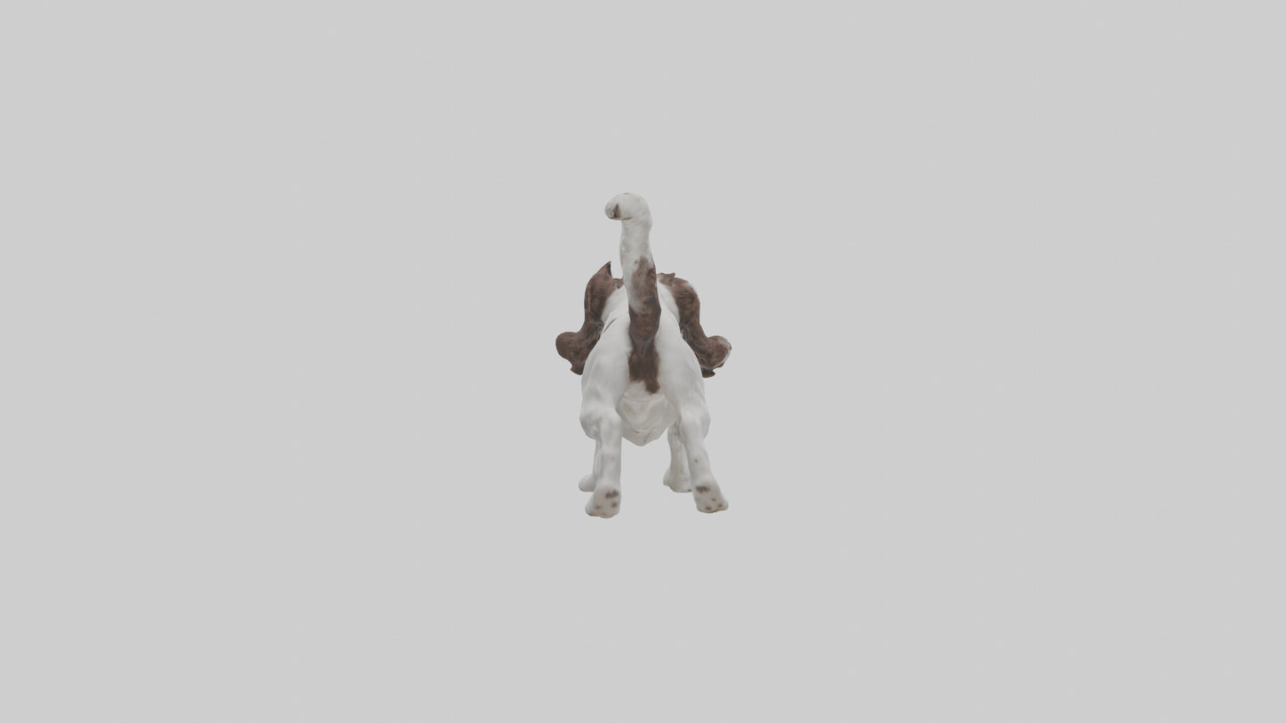 3D model English Springer Spaniel playing model VR / AR / low-poly