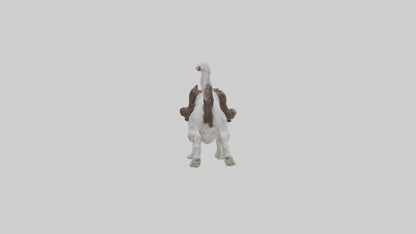 3D model English Springer Spaniel playing model VR / AR / low-poly
