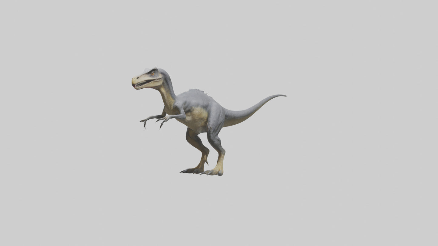 Eoraptor model VR / AR / low-poly
