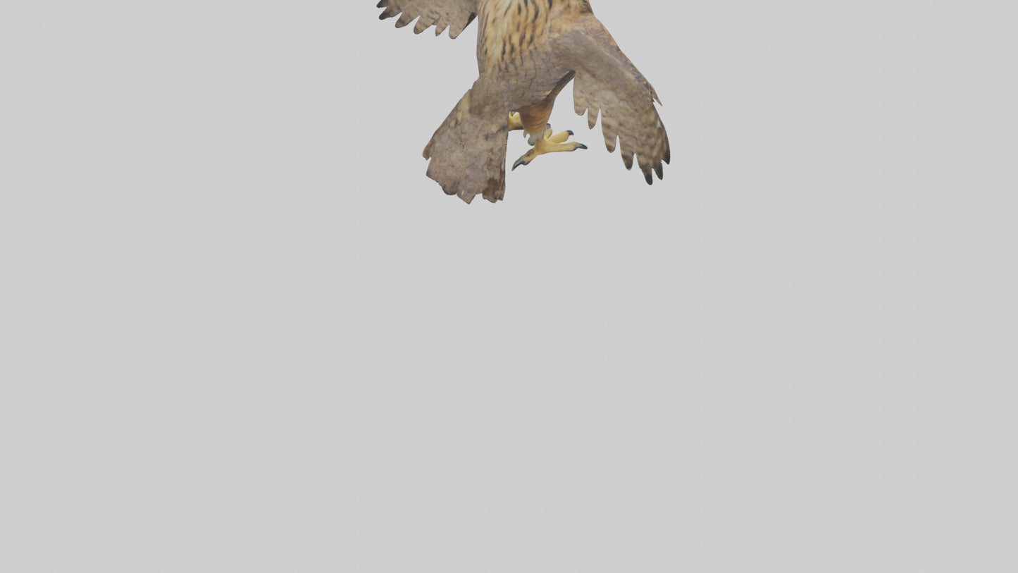 3D model Eurasian Eagle Owl perching model VR / AR / low-poly