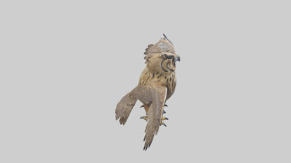 3D model Eurasian Eagle Owl perching model VR / AR / low-poly
