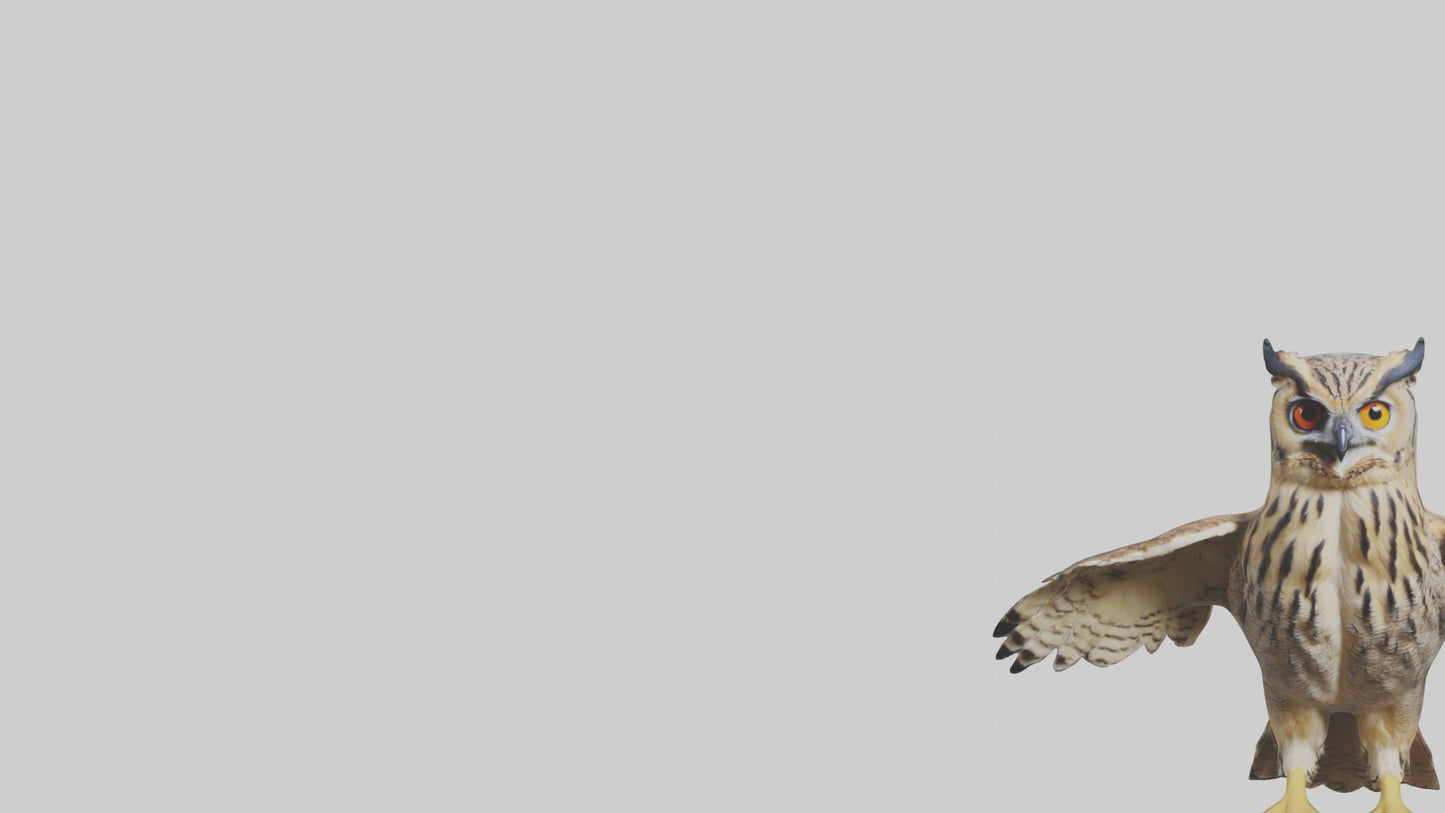3D model Eurasian Eagle Owl perching model VR / AR / low-poly