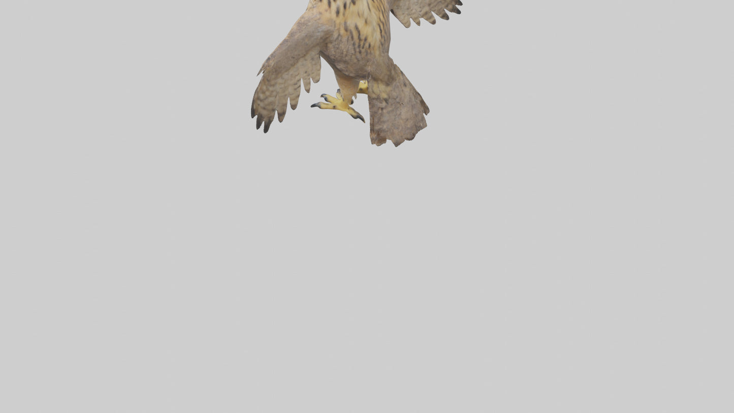 3D model Eurasian Eagle Owl perching model VR / AR / low-poly