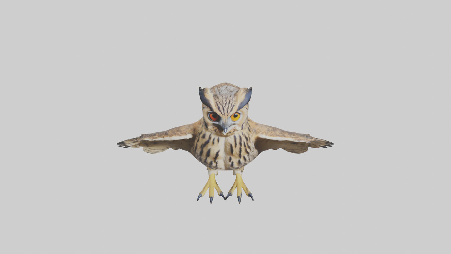 3D model Eurasian Eagle Owl perching model VR / AR / low-poly