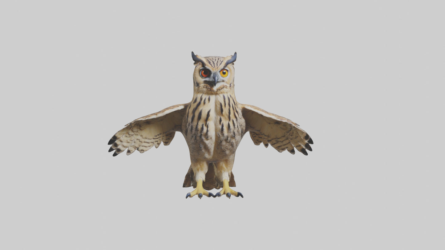 3D model Eurasian Eagle Owl perching model VR / AR / low-poly