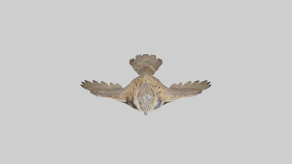 3D model Eurasian Eagle Owl perching model VR / AR / low-poly