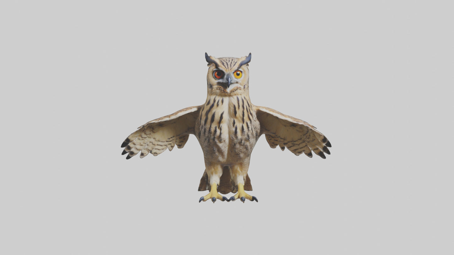 3D model Eurasian Eagle Owl perching model VR / AR / low-poly
