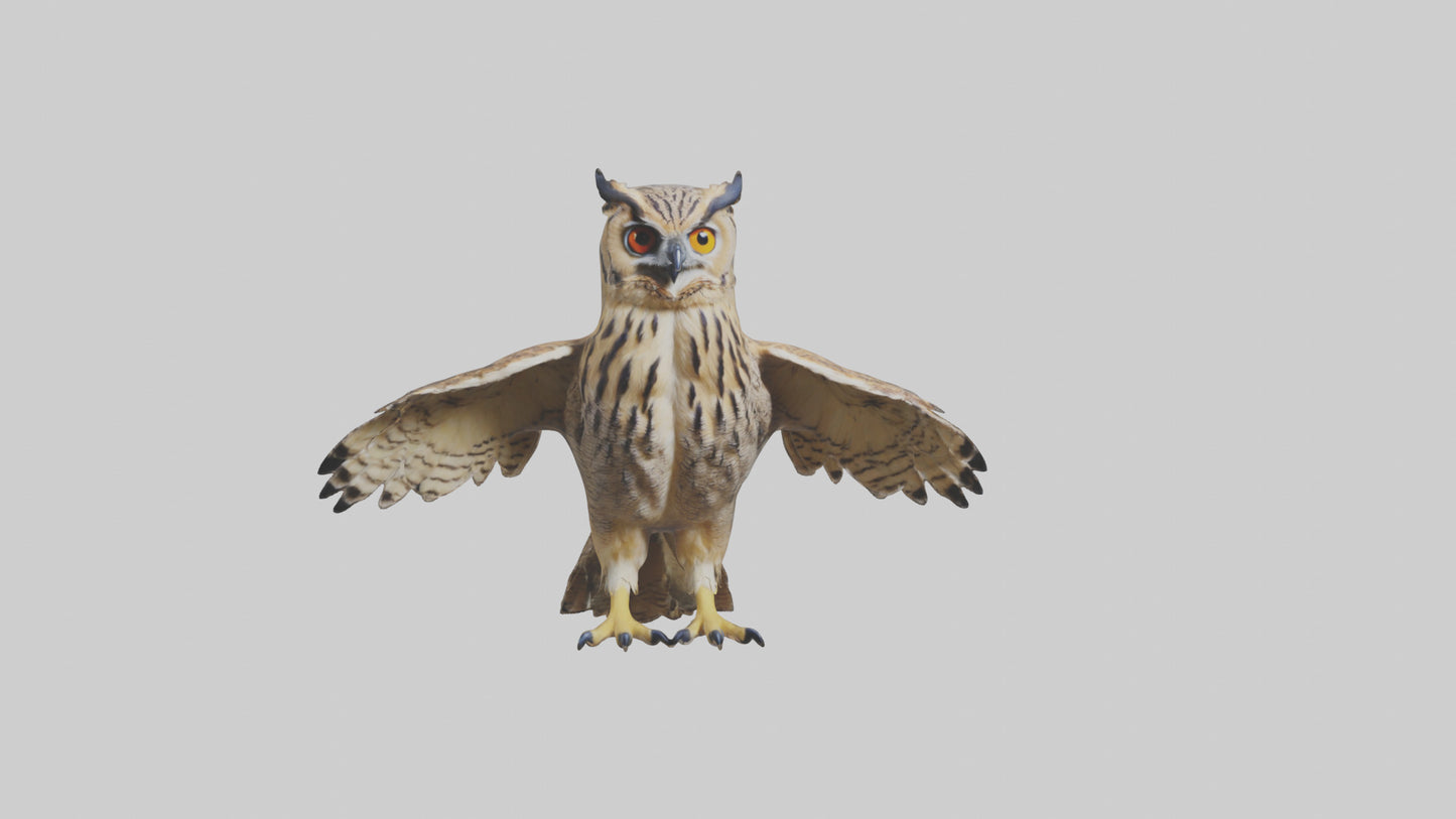 3D model Eurasian Eagle Owl perching model VR / AR / low-poly
