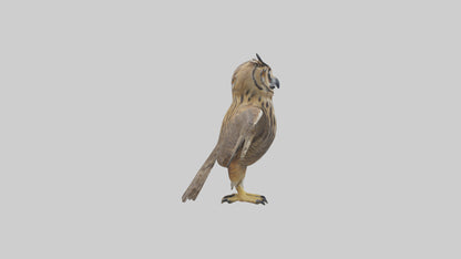 3D model Eurasian Eagle Owl perching model VR / AR / low-poly