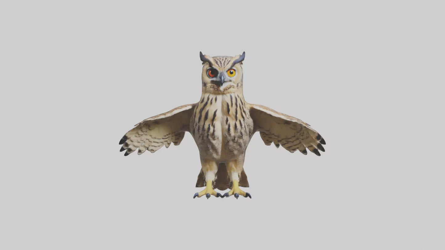3D model Eurasian Eagle Owl perching model VR / AR / low-poly