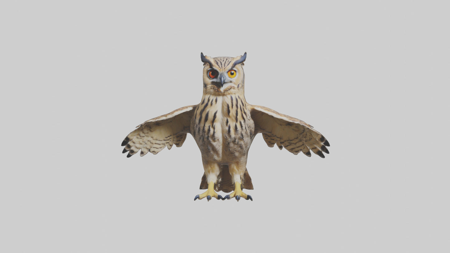 3D model Eurasian Eagle Owl perching model VR / AR / low-poly