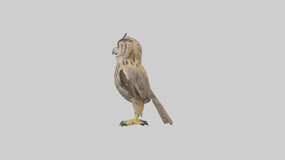 3D model Eurasian Eagle Owl perching model VR / AR / low-poly