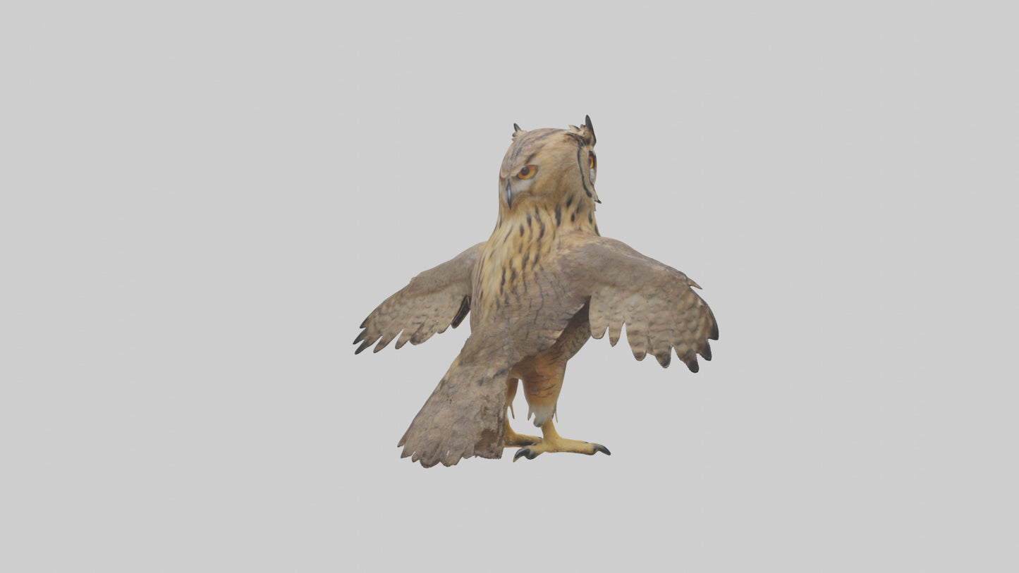 3D model Eurasian Eagle Owl perching model VR / AR / low-poly