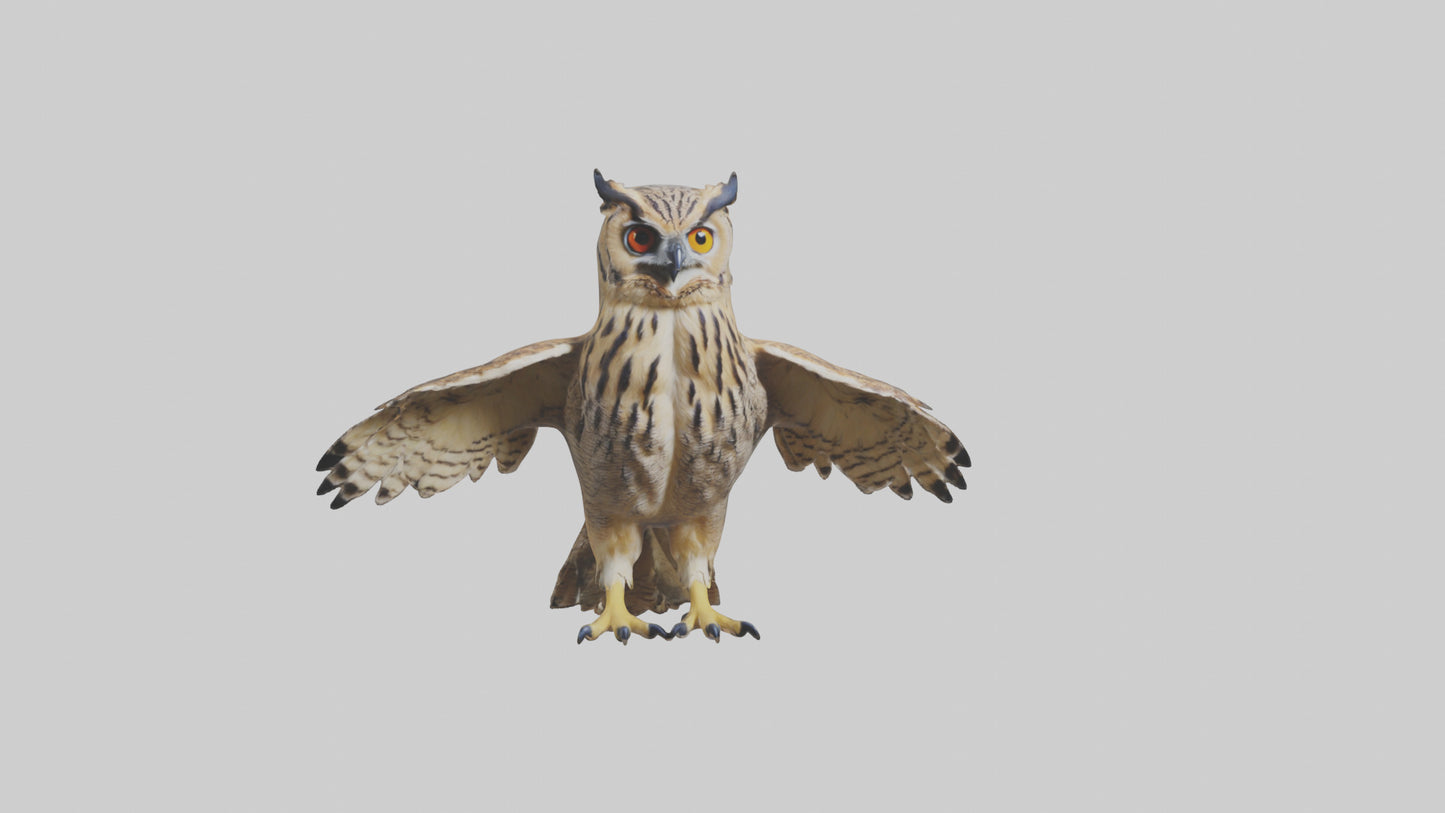 3D model Eurasian Eagle Owl perching model VR / AR / low-poly