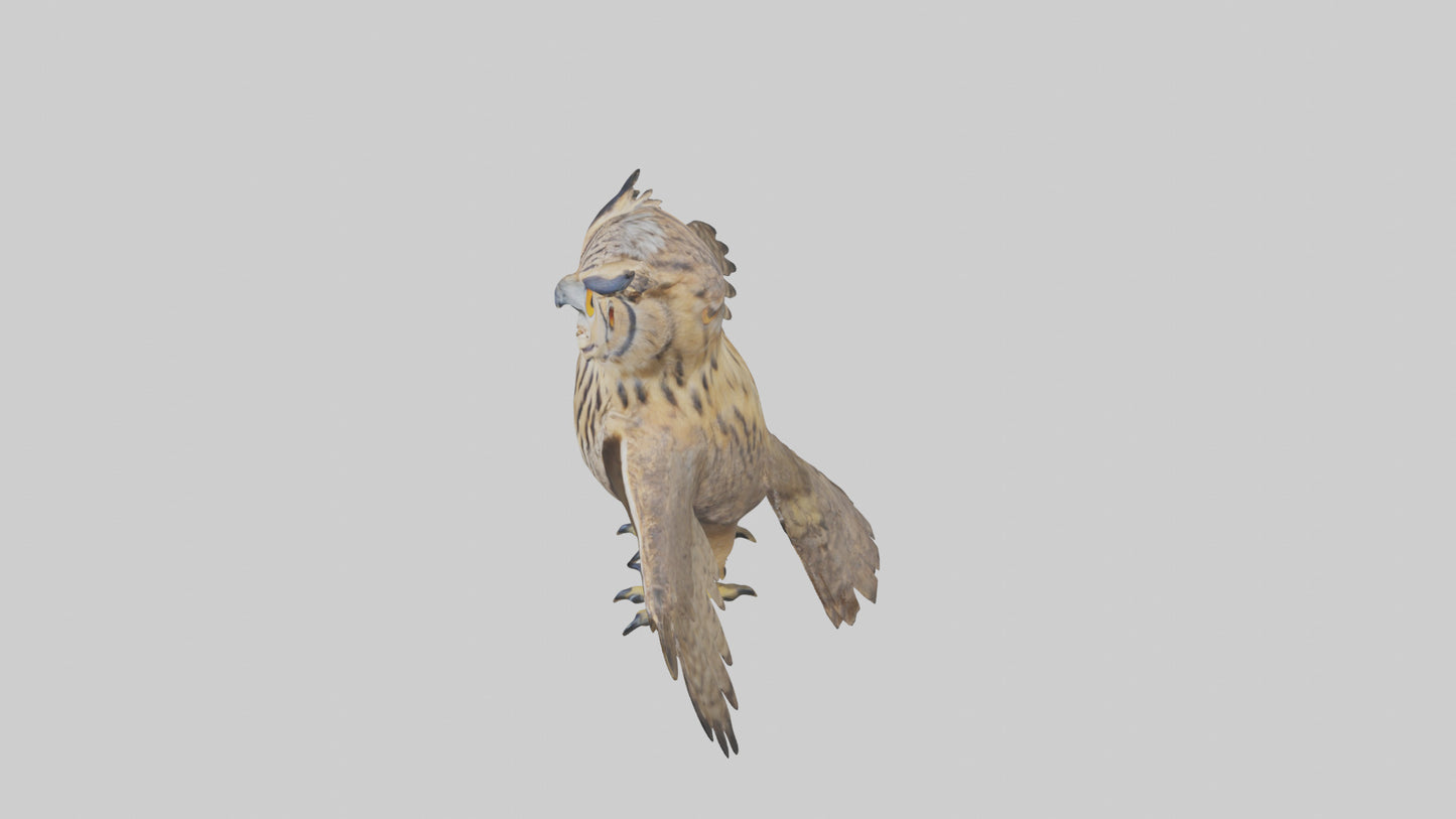 3D model Eurasian Eagle Owl perching model VR / AR / low-poly