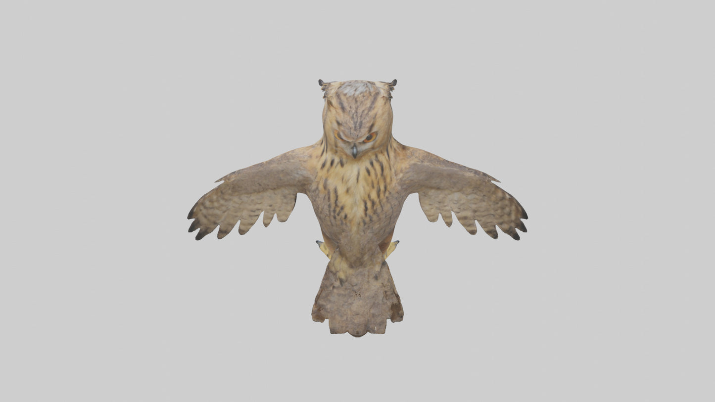3D model Eurasian Eagle Owl perching model VR / AR / low-poly