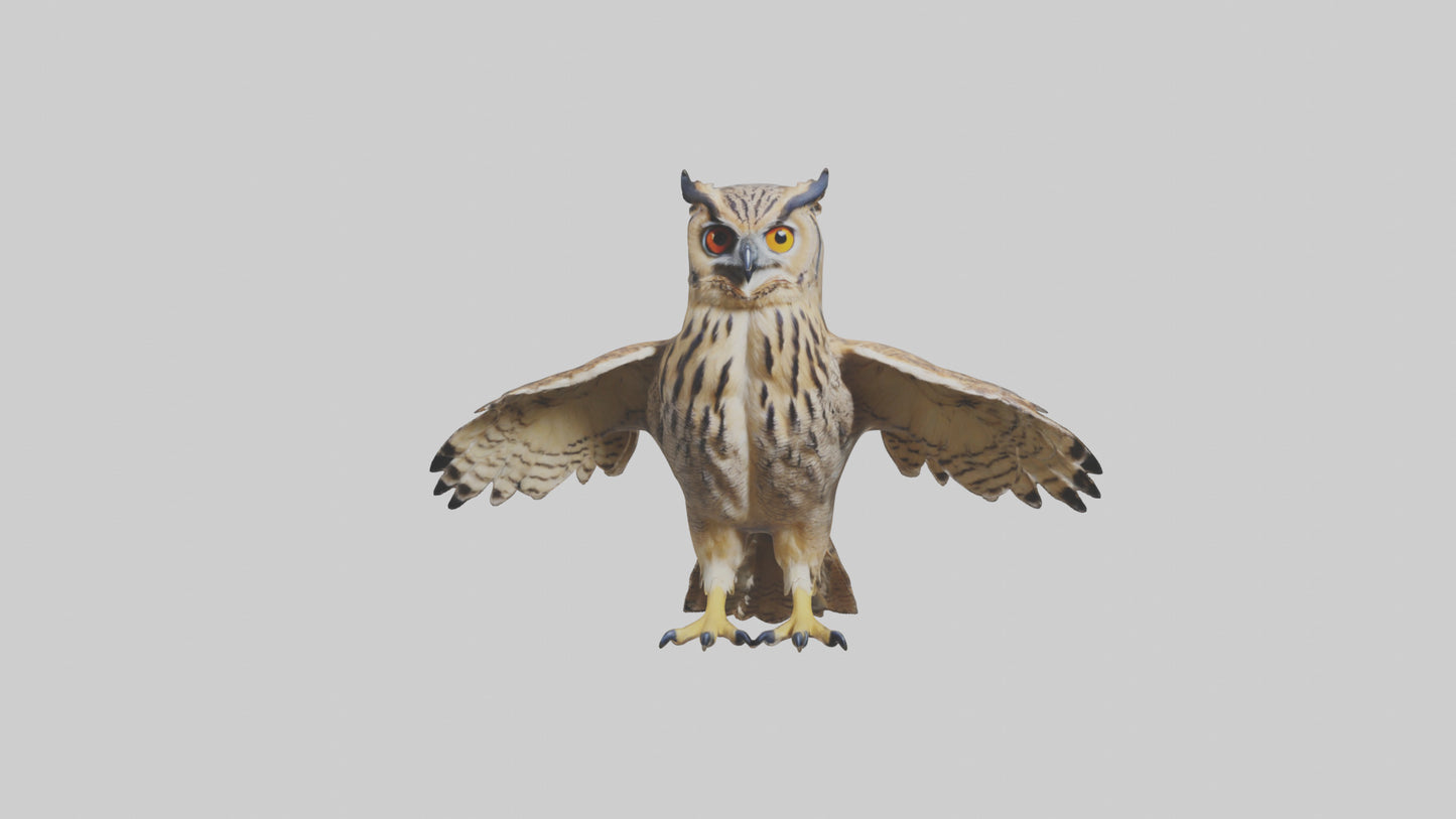 3D model Eurasian Eagle Owl perching model VR / AR / low-poly