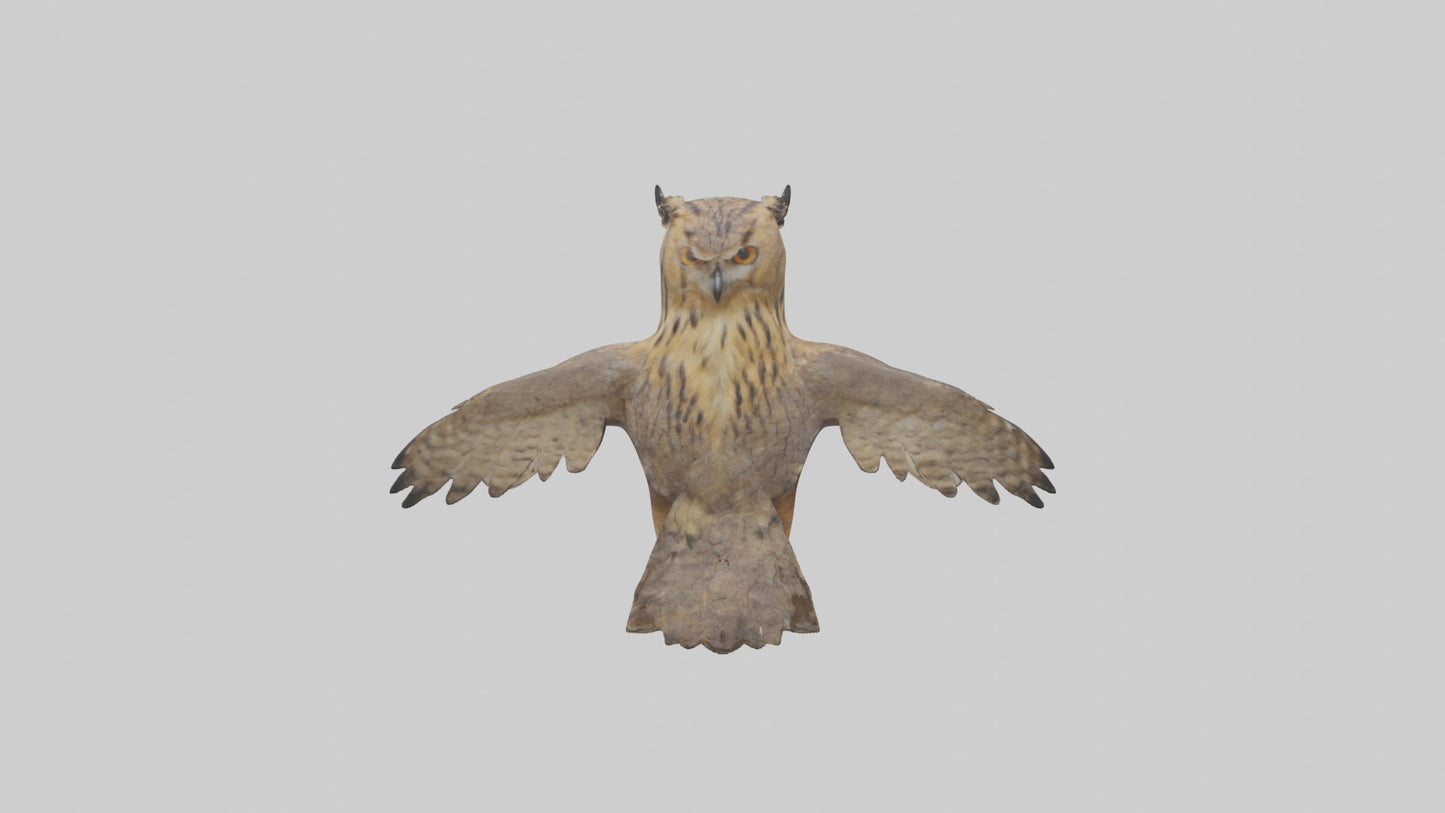 3D model Eurasian Eagle Owl perching model VR / AR / low-poly