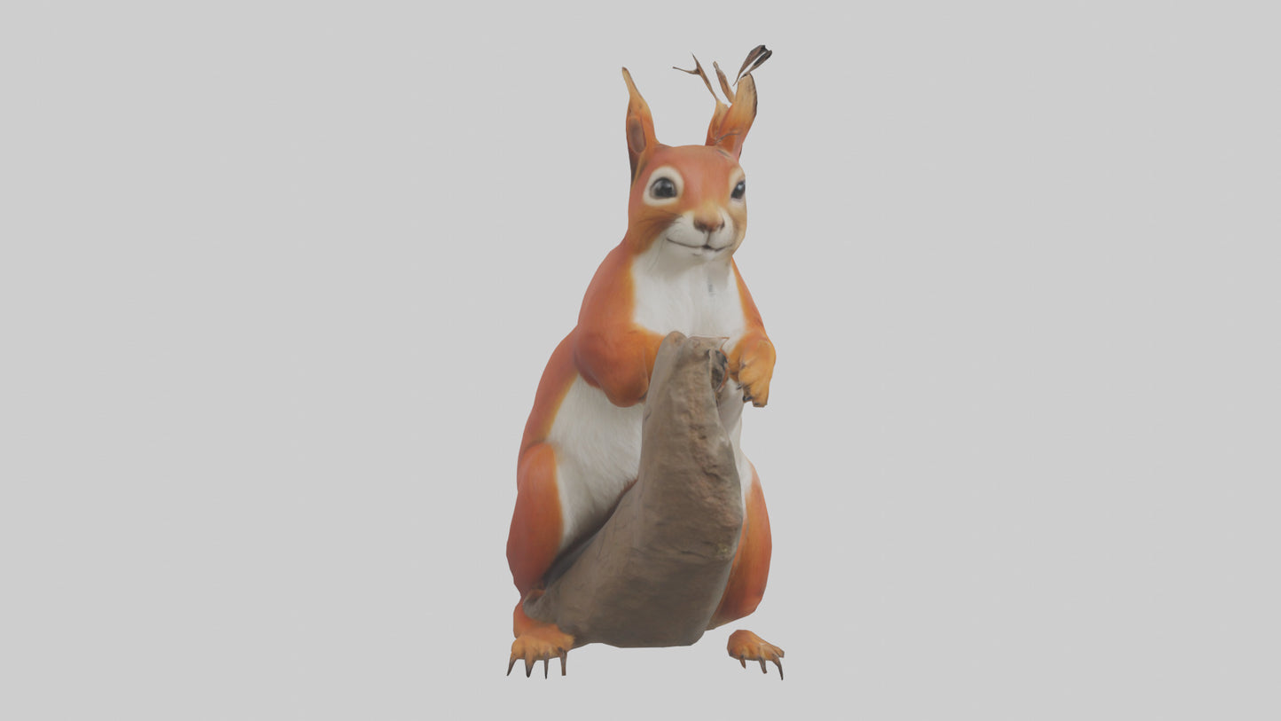 3D model Eurasian Red Squirrel climbing model VR / AR / low-poly