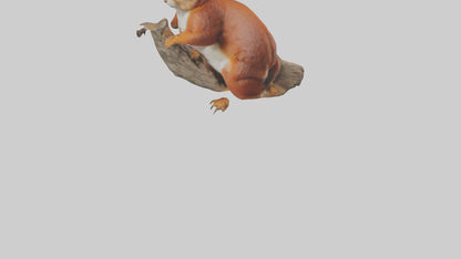 3D model Eurasian Red Squirrel climbing model VR / AR / low-poly