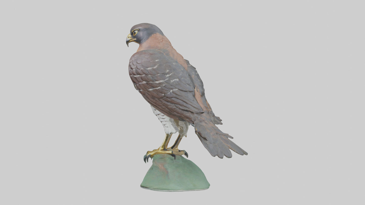 Eurasian Sparrowhawk statue model VR / AR / low-poly