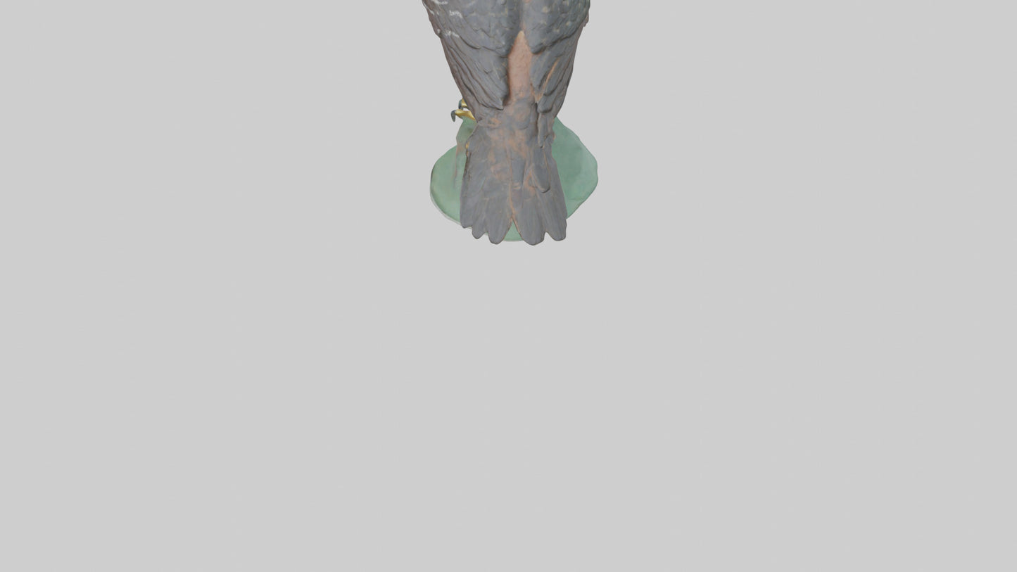 Eurasian Sparrowhawk statue model VR / AR / low-poly