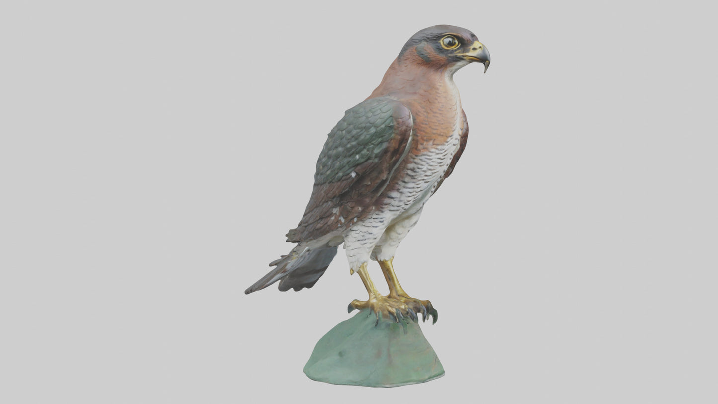 Eurasian Sparrowhawk statue model VR / AR / low-poly