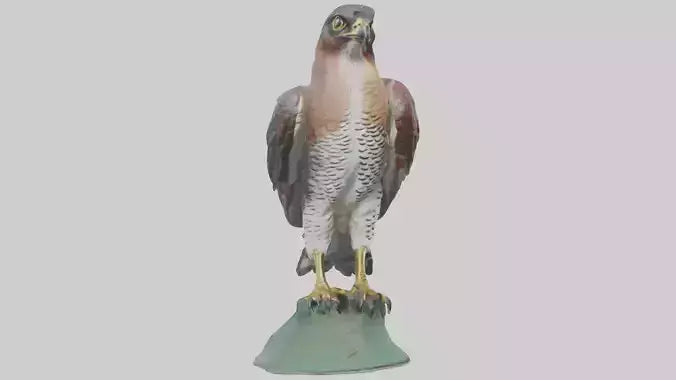 Eurasian Sparrowhawk statue model VR / AR / low-poly