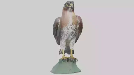 Eurasian Sparrowhawk statue model VR / AR / low-poly