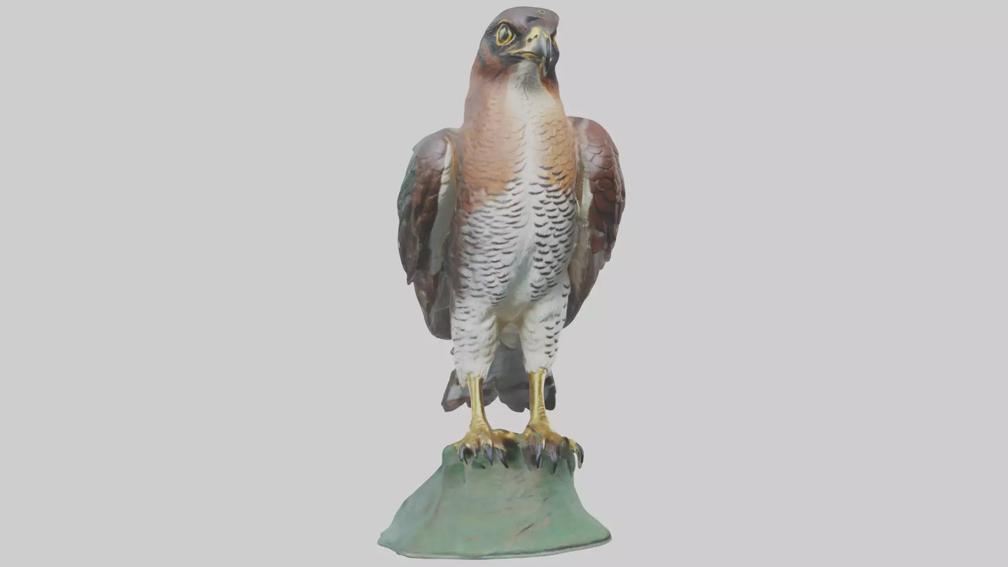 Eurasian Sparrowhawk statue model VR / AR / low-poly