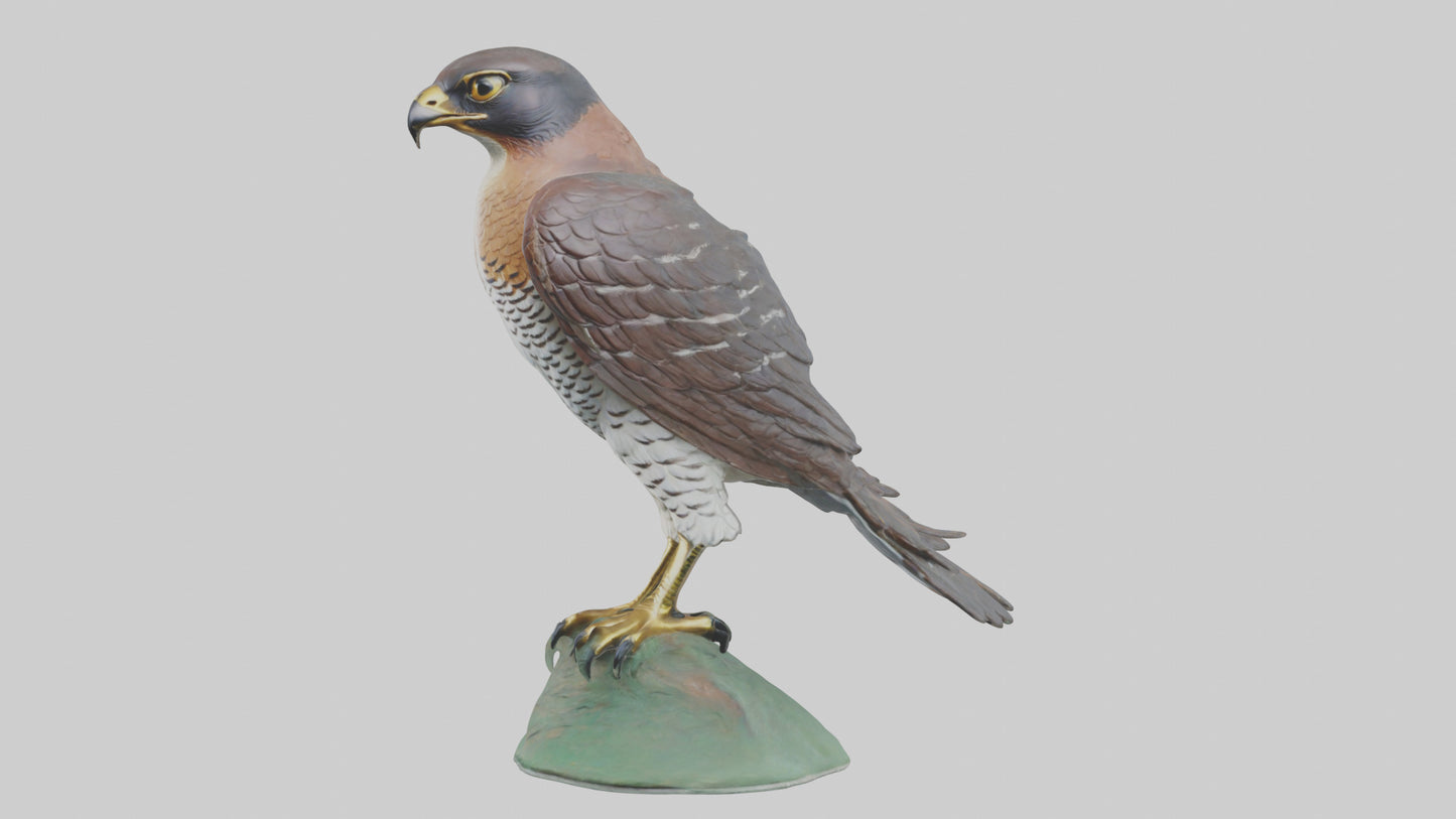 Eurasian Sparrowhawk statue model VR / AR / low-poly
