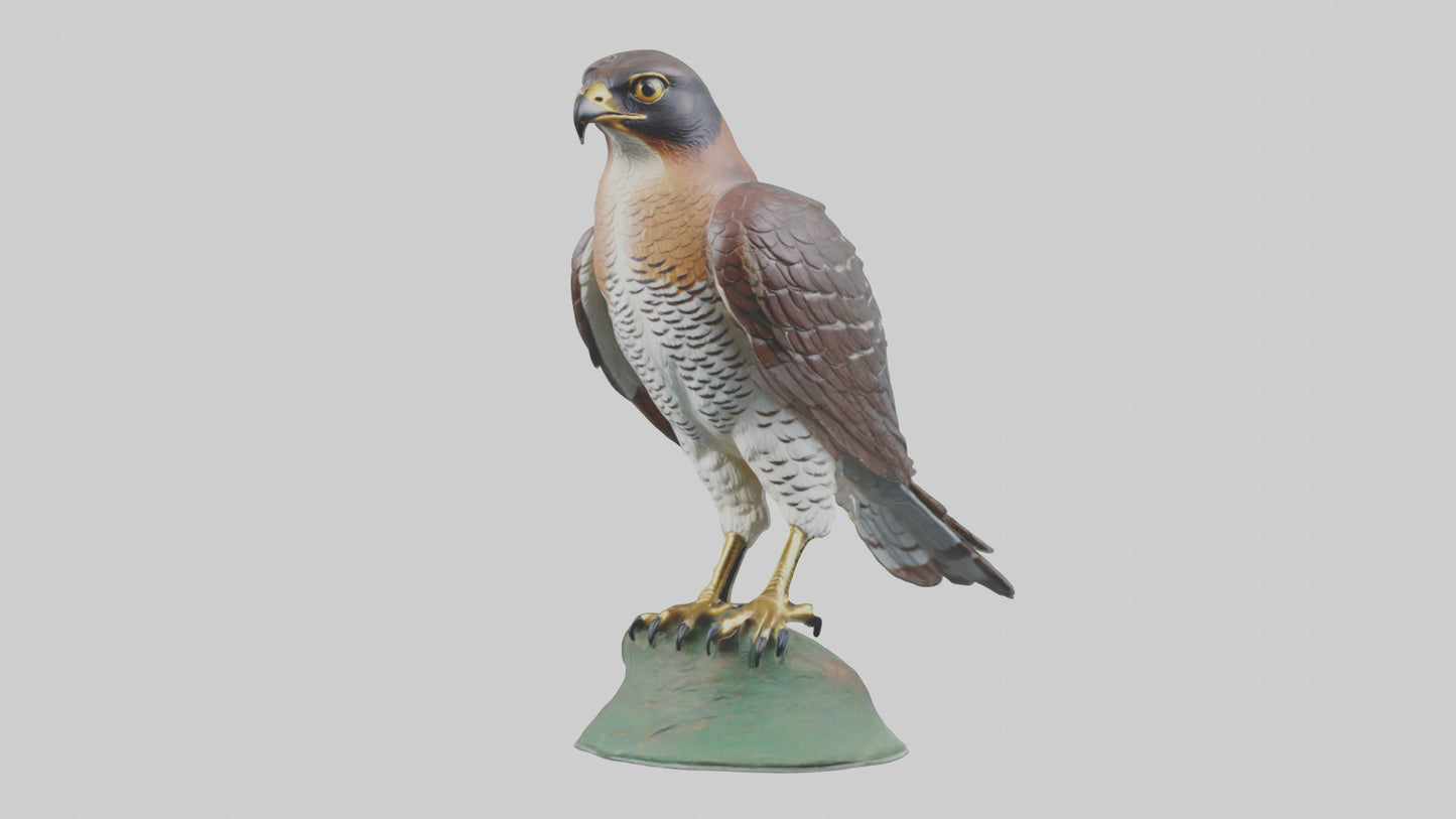 Eurasian Sparrowhawk statue model VR / AR / low-poly