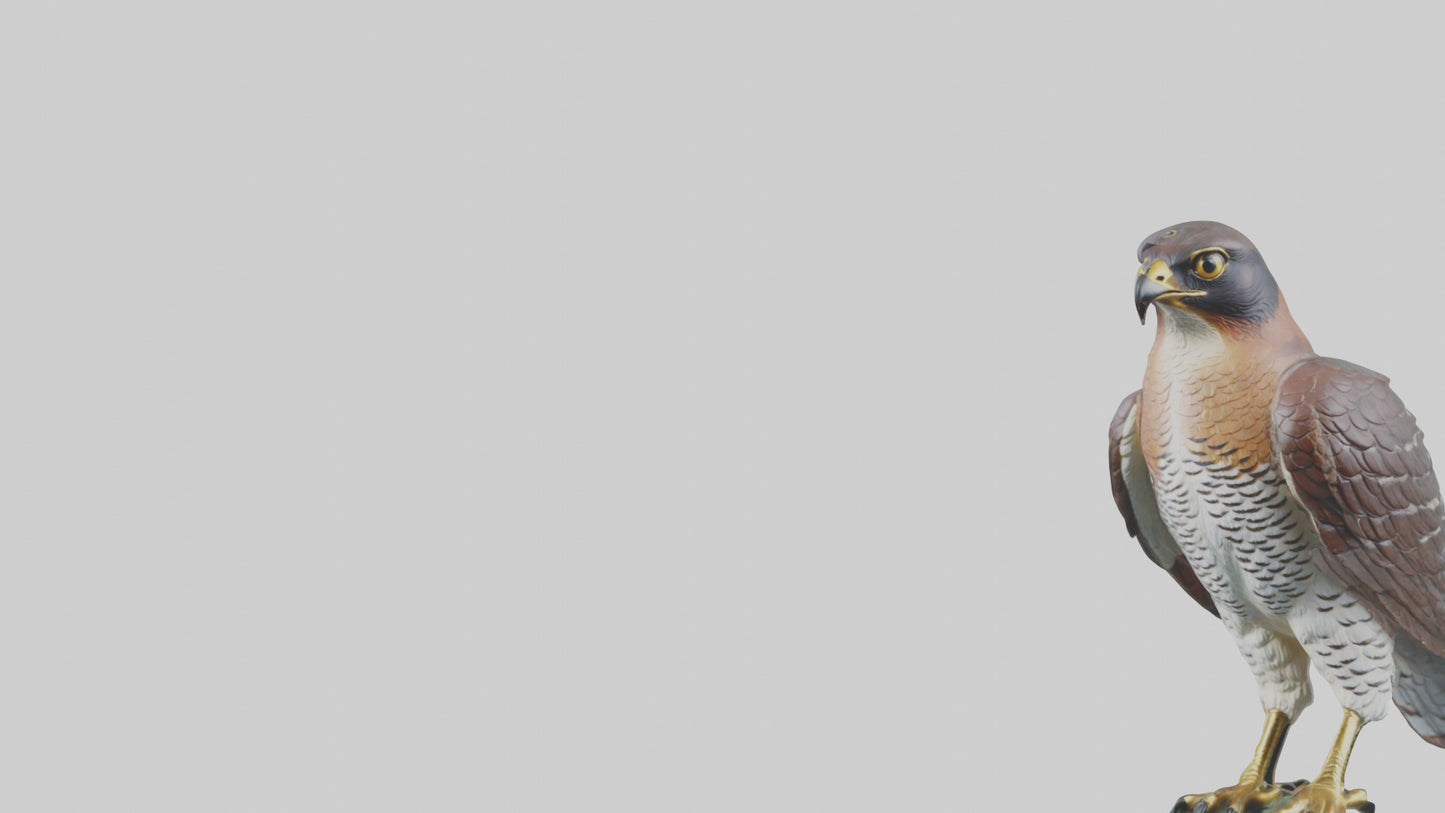 Eurasian Sparrowhawk statue model VR / AR / low-poly