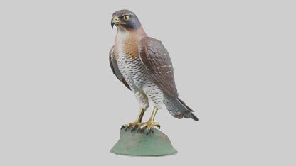 Eurasian Sparrowhawk statue model VR / AR / low-poly