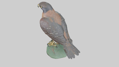 Eurasian Sparrowhawk statue model VR / AR / low-poly