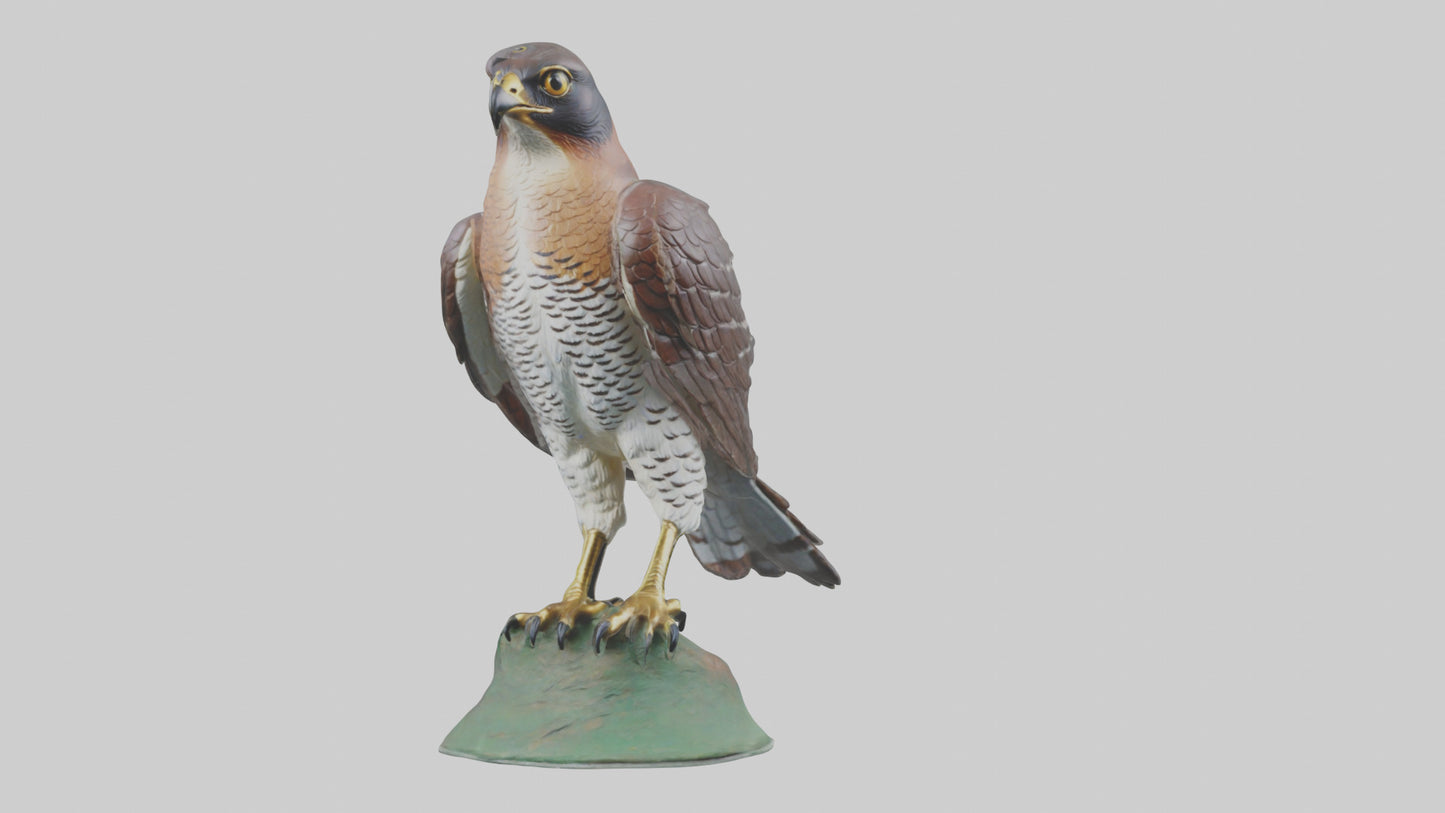 Eurasian Sparrowhawk statue model VR / AR / low-poly
